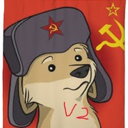 Łysy MasterCard