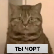 Tbl_kT0? - steam id 76561199122691250