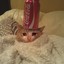 IamCokeCat