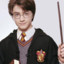 CarryPotter-