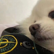 括约肌夹断负心汉