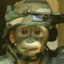 Pvt. Chimpie