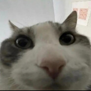 Benaty's avatar