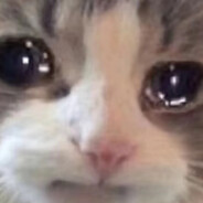 我想做个好人捏