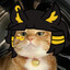 Royal Anubis