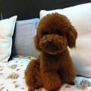 你知道的太多了。