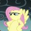 Fluttershy-YAY