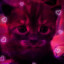 ᴍöᴅᴇʟ