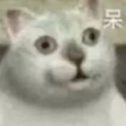 重生之我是洋务派顶针