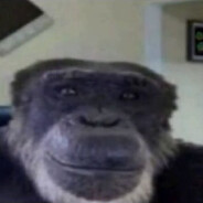 łała łiła avatar