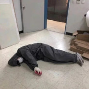 动力老子瓦尔基你太美