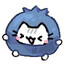 Noomie