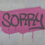 s0rry*