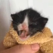 не душите, плз