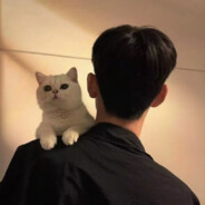 A.克斯维尔的明天