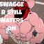 SWAGGER_228