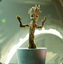 groot