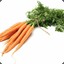 21 Carrot