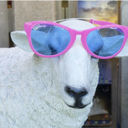 𝖉𝖊𝖊𝖕𝖘𝖎𝖝