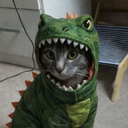 Dinozayr