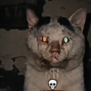 ♔_Cat_♔ avatar