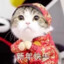 为你的孤单233
