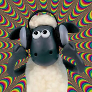 你们只负责喂饱TT