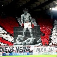 MonkeyD.Dragon!WinG-HawK