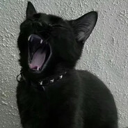 猫猫教主こくはく