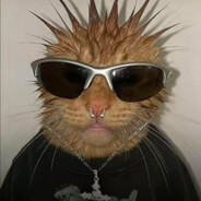BayHarborGooner's Avatar