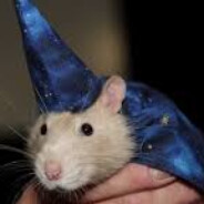 rat supreme wizard