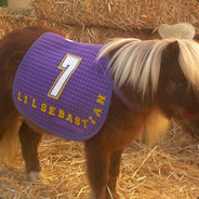 low quality microwave