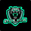 Cyber_Xiv3r