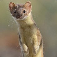 fuzzy_weasel