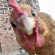 你看我的头好打吗