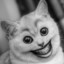 Niki10