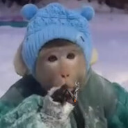 Snowmonk