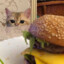 pixy