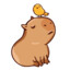 capybara~