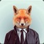 Mr.Fox