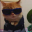 cat-no-cap
