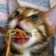 Spaghetti Cat