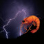 rainstorm
