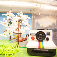 萧瑟秋风今又是