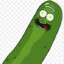 Pickle Rick !