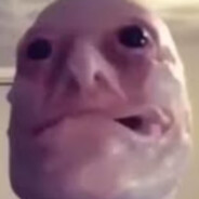 Springtrap261812 avatar