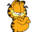 GARFIELD