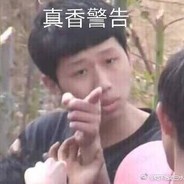 咏春 叶问 请赐教