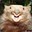 Running Wombat