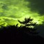 GreenHorizont